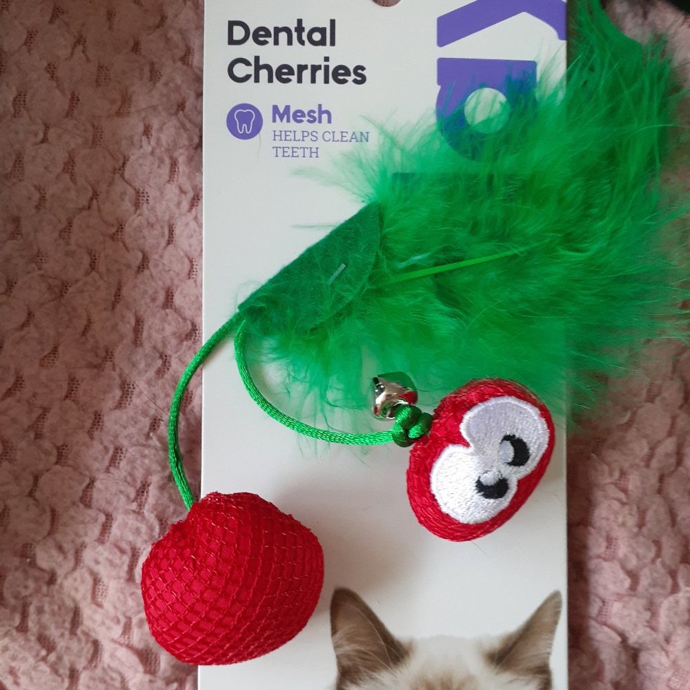 SALE!! Brand New Cat Toy
